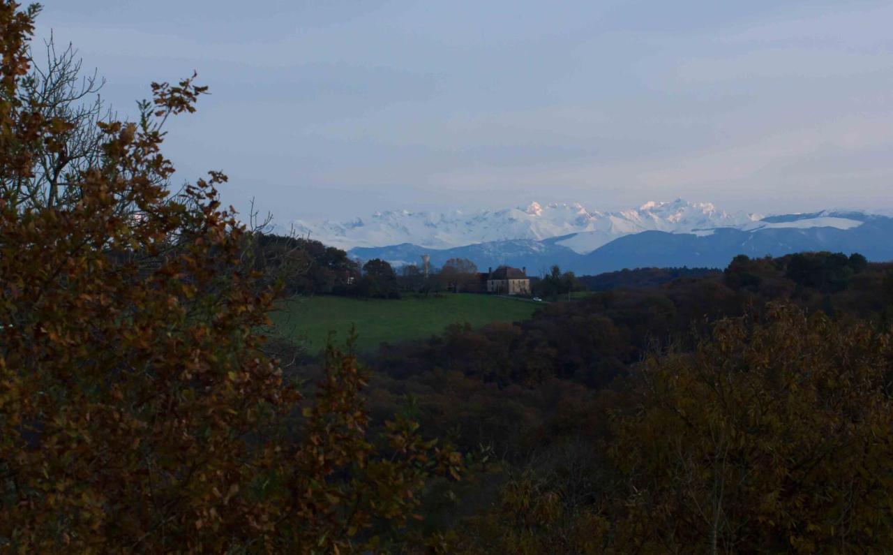O'Jardin Bed and Breakfast Arthez-de-Bearn Eksteriør billede